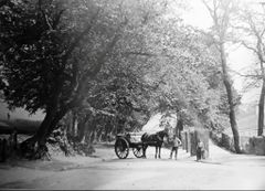 Bottom-of-Old-London-Road-1880s.-Pound-just-visible-on-the-far-right.